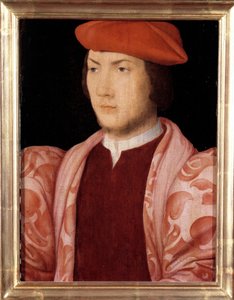 Portret Odety de Coligny, kardynała Chatillon w 1534 (pachwina syna Gasparda de Coligny, marechala Francji i brata admirała Gasparda de Coligny) (1517-1571) około 1535 Obraz szkoły francuskiej z XVI wieku. Ciemny. 0,32x0,23m. Wersal autorstwa French School