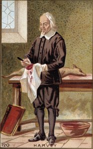 Portret Williama Harveya (1578-1657), angielskiego lekarza. autorstwa French School