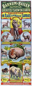 Plakat reklamujący Collection de Rares Animaux Sauvages dla cyrku Barnum i Bailey