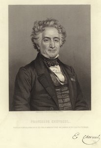 Profesor Chevreul autorstwa French School