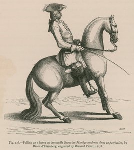 Wciąganie konia na wędzidło (z Manege moderne dans sa perfection, autorstwa barona dEisenberga, ryt. Bernard Picart, 1727) autorstwa French School