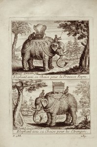 Słonie królewskie, z Voyage du Siam des Peres Jesuites autorstwa Guya Tacharda, 1688 autorstwa French School