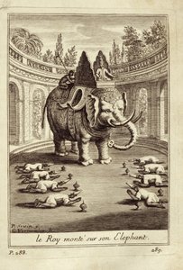 Słonie królewskie, z Voyage du Siam des Peres Jesuites autorstwa Guya Tacharda, 1688 autorstwa French School