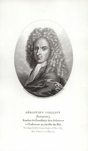 Sebastien Vaillant autorstwa French School