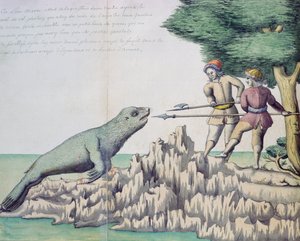 Lew morski w pobliżu Cieśniny Magellana (wc na papierze) autorstwa French School