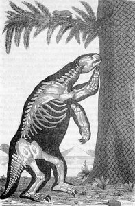 Szkielet megatherium - w „Świat przed stworzeniem człowieka” Camille Flammarion autorstwa French School