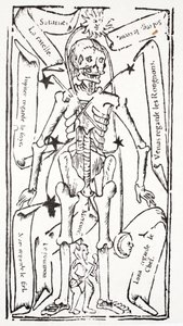 Szkielet ze znakami zodiaku autorstwa French School