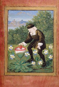 Stowe 955 ff.5v-6 Miniatura Pierre