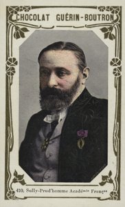 Sully-Prudhomme, Akademia Francuska (kolorowe zdjęcie) autorstwa French School