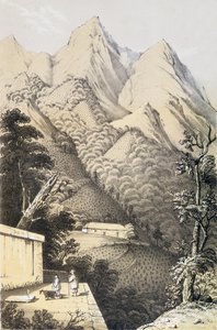 Plantacje herbaty w chińskiej dzielnicy zielonej herbaty, zaczerpnięte z Podróży do Chin herbaty, opublikowane po raz pierwszy w 1852 r. przez Roberta Fortune