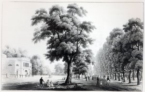 Główna aleja na Praterze, Wiedeń, 1821 r. autorstwa French School