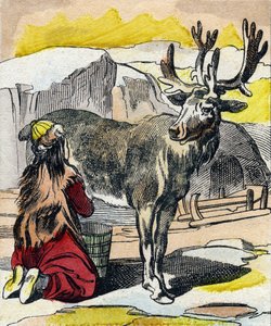 Dojenie renifera. Grawerowanie w „Buffon Alphabet des Animaux”. III seria N 1. Obrazowanie Epinal, Epinal, koniec XIX wieku. 16 stron. Wymiary: 28x21cm autorstwa French School