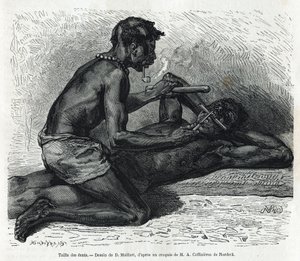 Wielkość zębów w Okandzie, rysunek D. Maillarda, ilustrujący historię wyprawy do Gabonu i rzeki Ogoue w latach 1875-1877 przez Alfreda Marche. Grawerowanie w Le tour du monde autorstwa French School