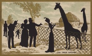 Trzy żyrafy (chromolitho) autorstwa French School