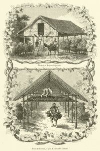 Tilembar lub perska Magnanerie (grawerowanie) autorstwa French School