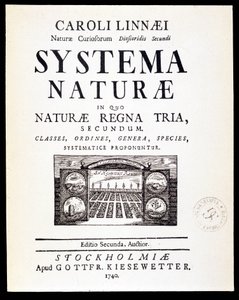 Strona tytułowa „Systemy naturalne” autorstwa Linneusza autorstwa French School