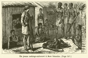 Młody nshiego-mbouve o białej twarzy (rycina) autorstwa French School