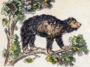 Unau (leniwy). Grawerowanie w „Alfabet des animaux sauvages””. 9. seria. Obraz Epinal, Pellerin, drukarz-wydawca, ok. 1870 r. Ryciny na drewnie, szablon. 16 stron. Wymiary: 20 x 15 cm. Prywatna kolekcja autorstwa French School