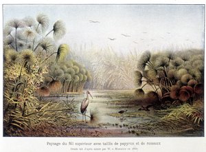 Przejście górnego Nilu z papirusem i zagajnikiem trzcinowym. autorstwa French School