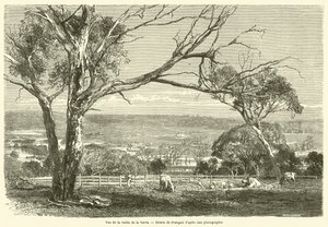Widok na dolinę Yarra (rycina) autorstwa French School