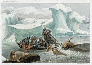 Polowanie na morsy - w „Le monde de la mer” Alfreda Fredola, Hachette, Paryż autorstwa French School