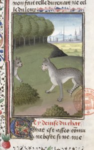 Dzikie koty, z Księgi łowów Gastona Phebusa de Foix (1331-91) autorstwa French School