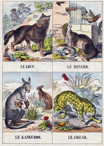 Wilk; Lis; kangur ; Jaguar. Grawerowanie w „Buffon Alphabet des Animaux”. III seria N 1. Obrazowanie Epinal, Epinal, koniec XIX wieku. 16 stron. Wymiary: 28x21cm autorstwa French School