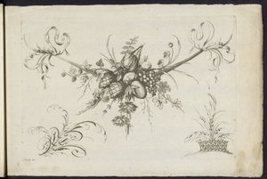 Festool van vruchten, bladeren en bloemen Inny nowy feston kwiatów i owoców (tytuł serii) autorstwa Friedrich Jacob Morisson