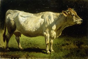 Krowa w krajobrazie