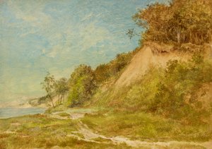 Plaża wydmowa nad Morzem Bałtyckim