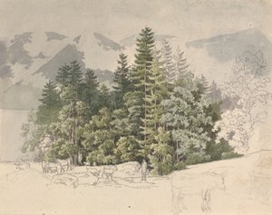 Krajobraz alpejski (gwasz na graficie)