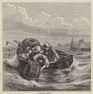 Łowienie homara (kolorowy grawer) autorstwa Friedrich Specht