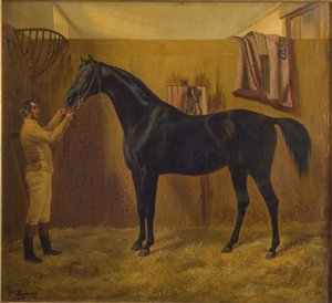 Czarna Kometa