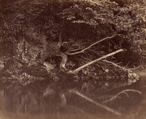 Brzeg rzeki w dolinie Neath, ok. 1930 r. 1855. autorstwa G. B. Gething