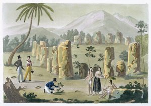 „Dom starożytnych”, wyspa Tinian, tablica 31 z „Le Costume Ancien et Moderne” Julesa Ferrario, wydana w latach 1820-30 (patrz także 206893)