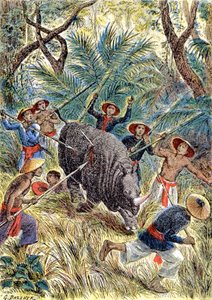 Polowanie na nosorożce, Indochiny Francuskie, ok. 1900 r. (ilustracja)