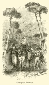 Chłopi portugalscy