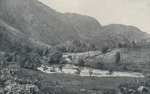 Szkocka Glen, 1910