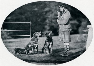 Pan Francis Clark, The Queens Gillie, z trzema swoimi ulubionymi psami, c1899, 1901 autorstwa G. W. Wilson and Company