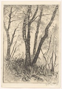 Drzewa w wysokiej trawie autorstwa G. van der Mey (signed by artist)