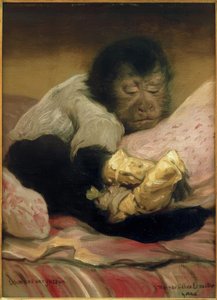 Zapominanie o bólu (III)