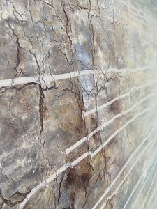  autorstwa Gabriela Aleksandra Szuba