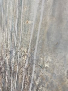  autorstwa Gabriela Aleksandra Szuba