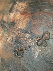  autorstwa Gabriela Aleksandra Szuba