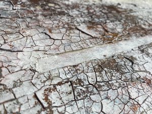  autorstwa Gabriela Aleksandra Szuba