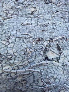  autorstwa Gabriela Aleksandra Szuba