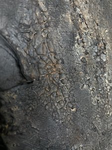  autorstwa Gabriela Aleksandra Szuba