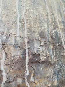  autorstwa Gabriela Aleksandra Szuba