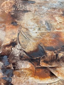  autorstwa Gabriela Aleksandra Szuba