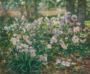 Wiatraki, 1912.